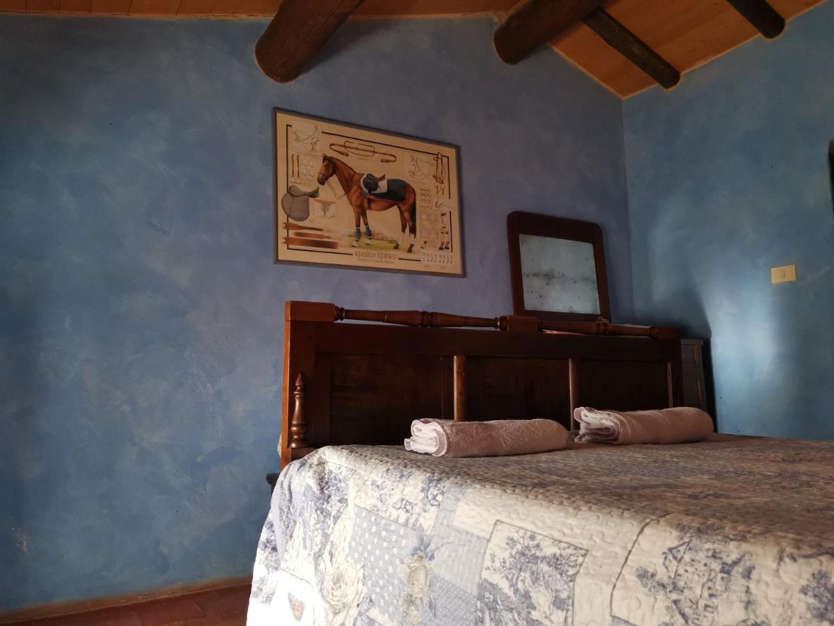 Daina Bianca Bed and Breakfast Solignano Exteriör bild