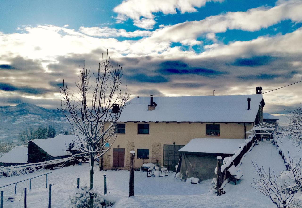 Daina Bianca Bed and Breakfast Solignano Exteriör bild